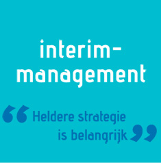interim management